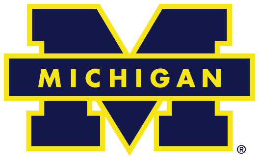 Michigan Wolverines 1988-1996 Primary Logo iron on transfers for fabric